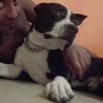 Vito Spano - @vito_spano88 - Instagram