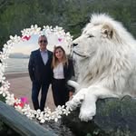 Vito Stabile - @vito_stabile_ - Instagram