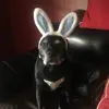 thomasvito - @thomasvito2 - TikTok