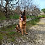 Vito Tinelli - Facebook