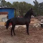 Vito Toscano - @vito.toscano.91 - Instagram