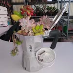 vito uva - @vito.uva - Instagram