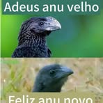 Paulo Vitor Pimenta - Facebook