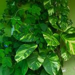 Maheswaran Vivekanandan - @maheswaranvivekanandan - Instagram