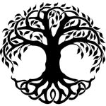 Vivek Krishna - @vivek_krishna62 - Instagram