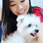 Vivian See 🐻🐝🐶💖 - @vivian_bee - Instagram