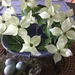 Vivian Bender - @2bendersenders - Instagram