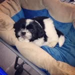 Vivian Cloud - @singingalong89 - Instagram