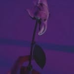 Vivian Cloudy - @vivian.cloudy - Instagram