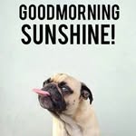 Bob Vivian Collick - @bobviviancollick - Instagram