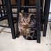 Vivian Compton - Facebook