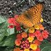 Vivian Compton - Facebook