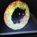 Vivian Compton - Facebook