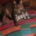 Vivian Decker - Facebook