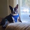 Vivian Carco Doherty - @vivian.carco.dohe - TikTok