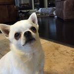 Vivian - @viviandoherty__70 - Instagram