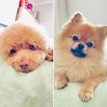 Vivian Heller - @bauilotsis - Instagram
