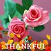Vivian Hess - Facebook
