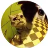 vivian hyde - @vvivianhyde - TikTok