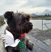 Vivian Lambert - Facebook