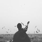 @vivian_lambert - Instagram