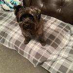 Vivian Lambert - @vivianlambert55 - Instagram