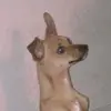 vivianmann - @vivianmann - TikTok