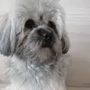 Vivian Mathis - @vivianmathis609 - TikTok