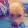 Vivi - @vivianaroach - TikTok