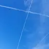 Vivian Schulz - @vivian.schulz - TikTok