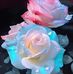 Vivian Simm - Facebook