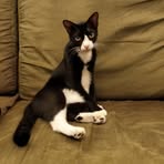 Vivian Sin - Facebook