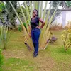 Vivian sino - @vivian.sino - TikTok