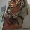 Vivian Sinclair - @vivian.sinclair1 - TikTok
