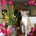 Vivian Singleton - Facebook
