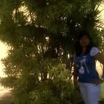 Vivian C. Soler Tomase - @vicoral_soler - Instagram