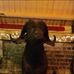 Vivian Stokes - Facebook