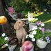 Vivian Upton - Facebook