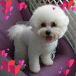 Vivian Yip - @vivian.yip.186 - Instagram