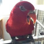Vivian Yip - @yip7520 - Instagram