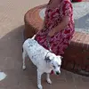 vivianevanmaercke - @vivianevanmaercke - TikTok