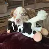 boo - @viviennekaycarr - TikTok