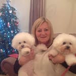 Vivien Carr - @vivien.carr.3 - Instagram