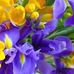 Vivien Carroll - Facebook