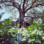Vivien Kuo - @windbell88 - Instagram