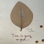 vivien kuo - @samadhi0918 - Instagram
