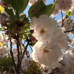 Vivien Kuo - @vivien0112 - Instagram