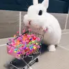 Vivien Kuo - @vvvvlc - TikTok