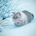 Vivien Kuo - @vivien_night - Instagram