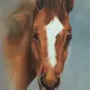diddy - @viviennecarter1 - TikTok